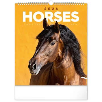 Falinaptár képes  300x340mm Horses Realsystem 2026.