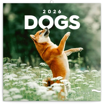 Falinaptár képes lemeznaptár 300x300mm, Dogs Realsystem 2026.