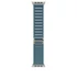 Okosóra Apple Watch Ultra 3 Cellular 49mm Natural Titanium Case with Light Blue Alpine Loop - Medium